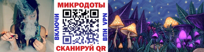 Купить где  Унеча  Псилоцибиновые грибы прущие грибы 